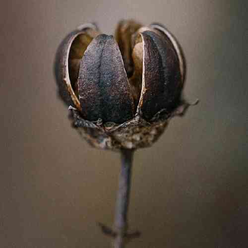  سالم ولی خلم بد لاتی ولی مودب قاتی تیپ مرتب